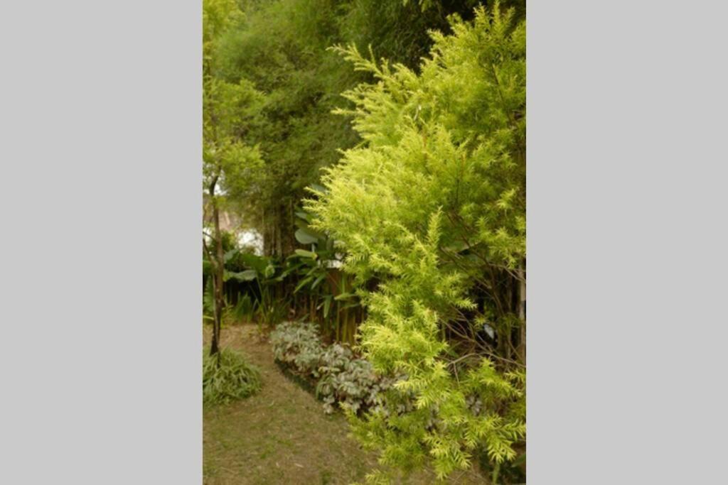 ボゴール The Pines Vimala Hillsヴィラ エクステリア 写真